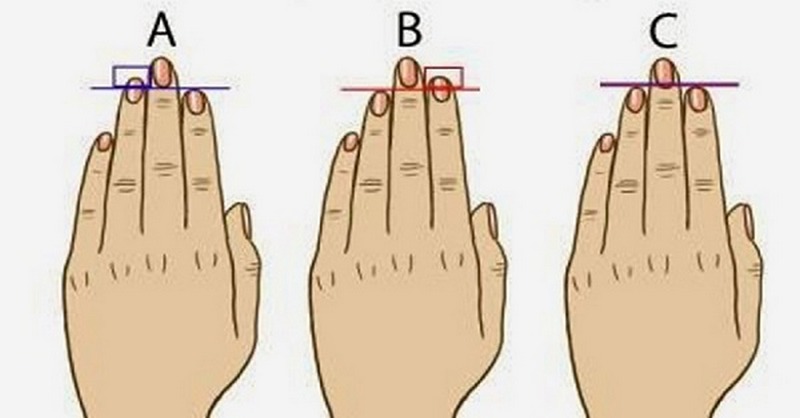 Budete překvapeni, až zjistíte, co o vás prozrazuje délka vašich prstů! Náhledový obrázek