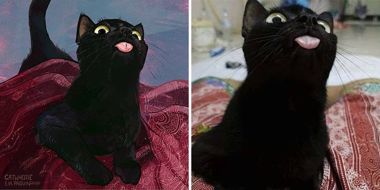 09-11-06-1662537993688564318