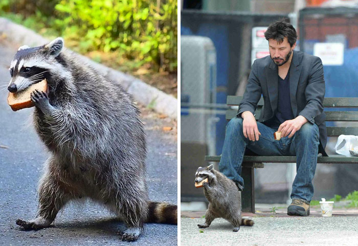 obrázek-20220921164039-1