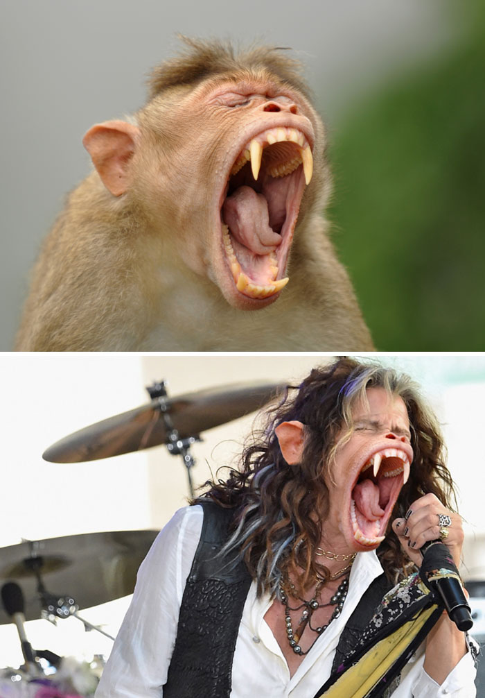 obrázek-20220921164320-2