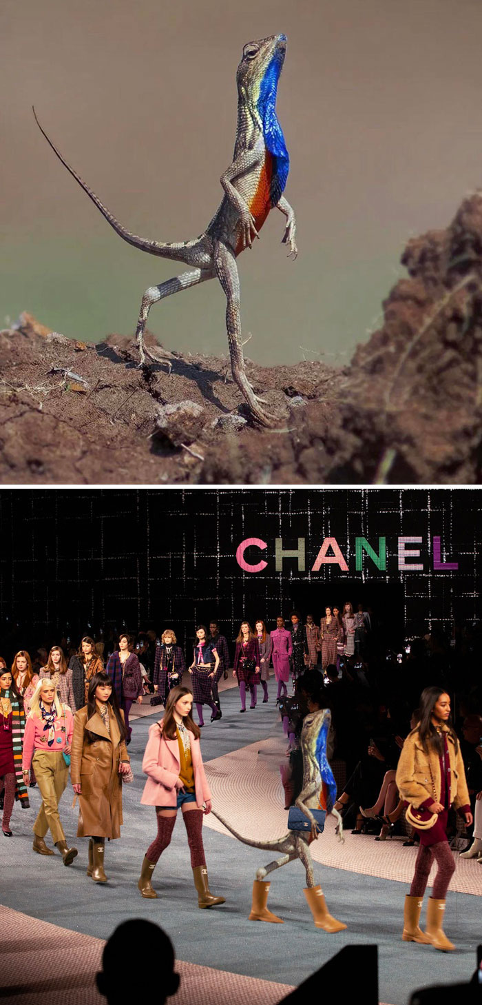 obrázek-20220921164324-3