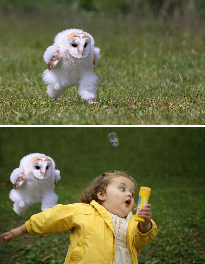 obrázek-20220921164327-4