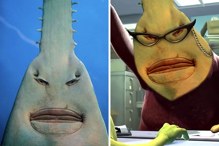 obrázek-20220921164359-10