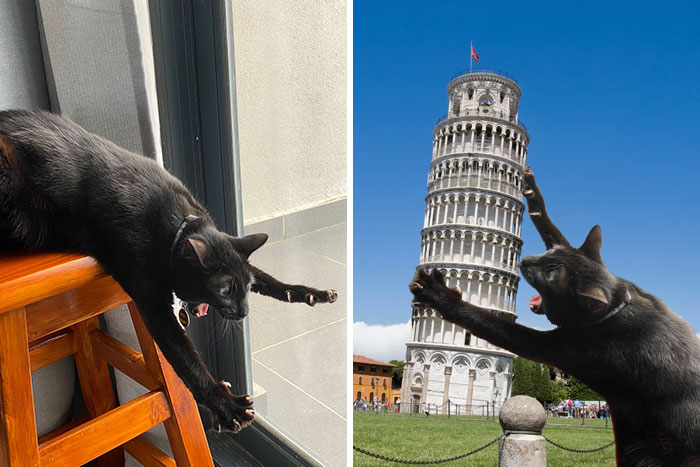 obrázek-20220921164421-16