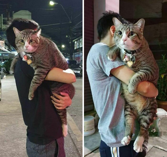 obrázek-20221121142043-10