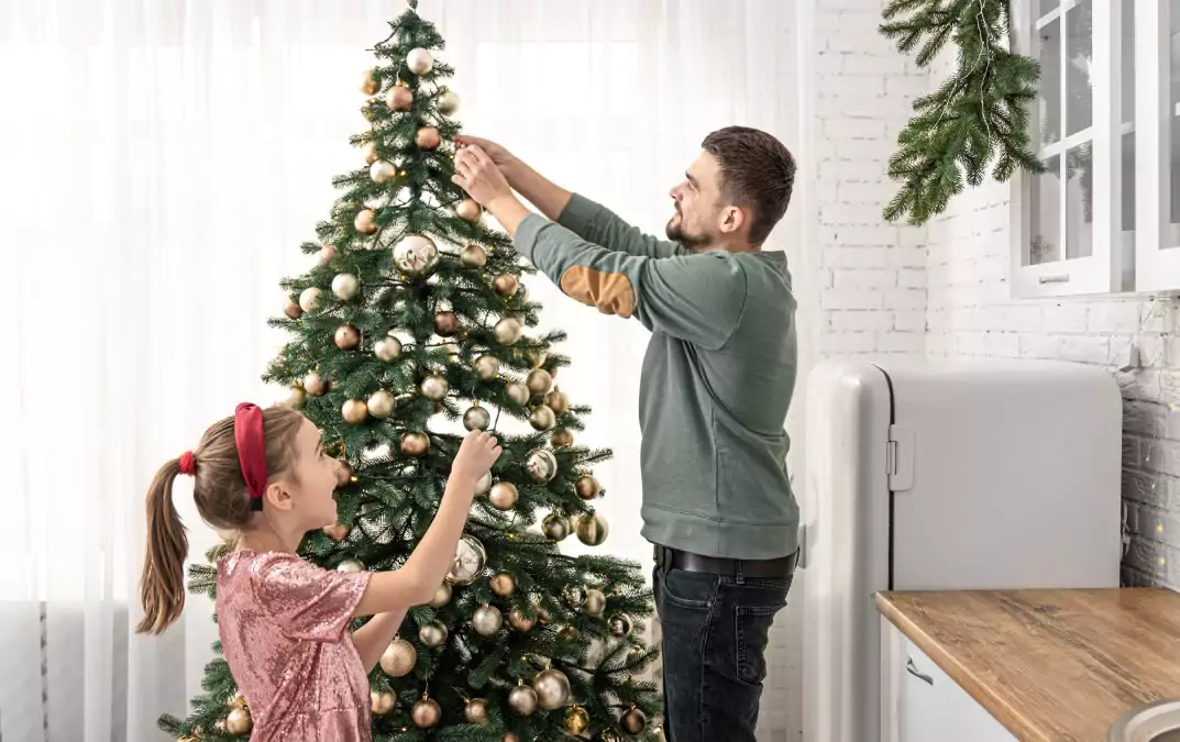 jak se starat o vánoční stromek doma