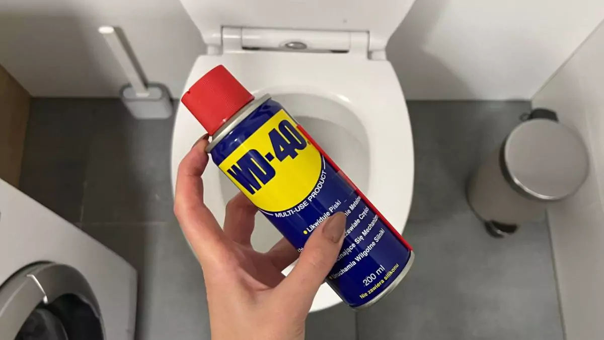 Jak vyčistit vodní kámen z toalety?