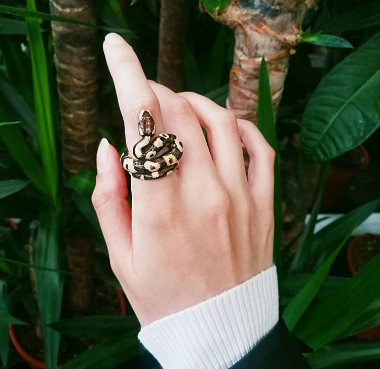 obrázek-20230309182408-15