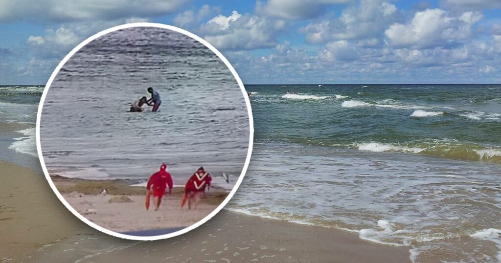 Takhle se dva muži bavili v moři. Zveřejněné video vyvolalo velkou kritiku na sociálních sítích Náhledový obrázek