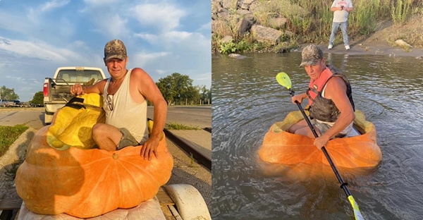 Pán Hansen s obrovskou tekvicí