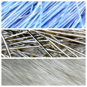 Vzorky vlasů a srsti pod mikroskopem