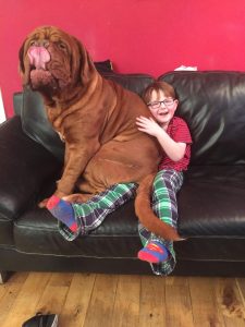 Alfie a Marek