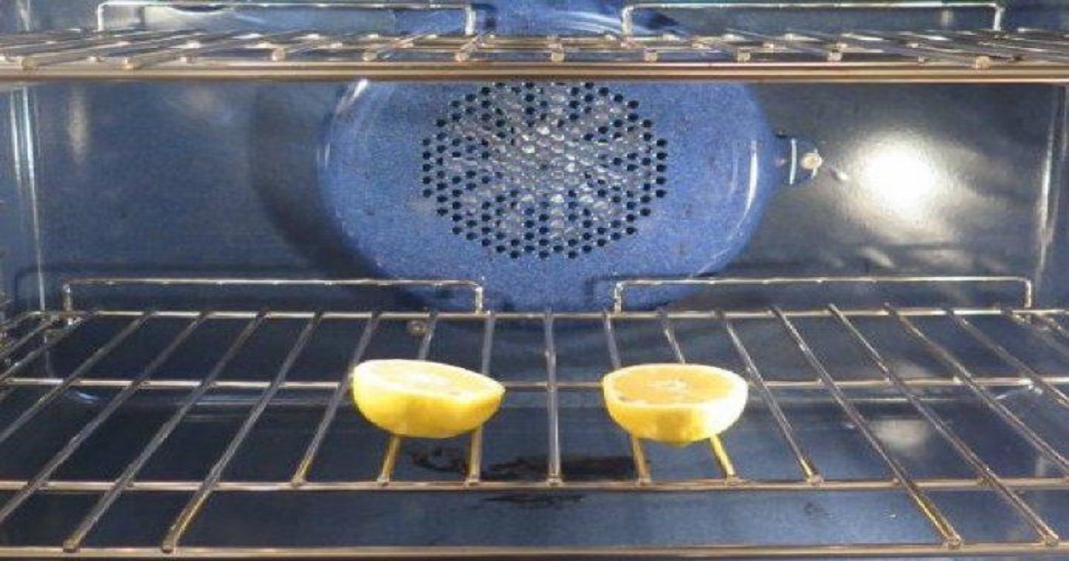 Citron v troubě přes noc odradí komáry i mouchy: Tenhle trik za pár korun vás překvapí, jak jednoduše funguje!
